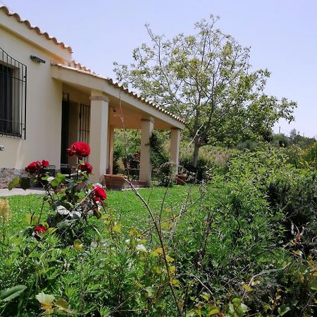 S'Orrosa Casa Vacanze Bifamiliare In Montagna Panorama Stupendo Sardegna Seùlo Buitenkant foto