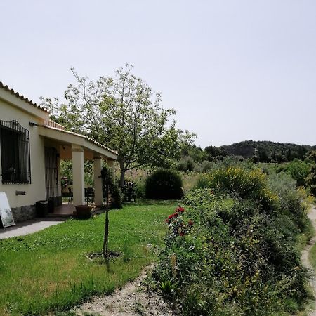 S'Orrosa Casa Vacanze Bifamiliare In Montagna Panorama Stupendo Sardegna Seùlo Buitenkant foto