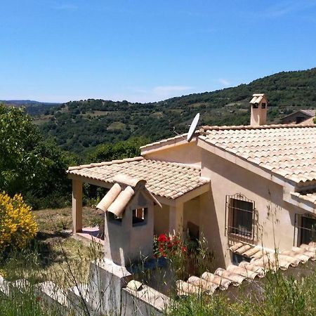S'Orrosa Casa Vacanze Bifamiliare In Montagna Panorama Stupendo Sardegna Seùlo Buitenkant foto