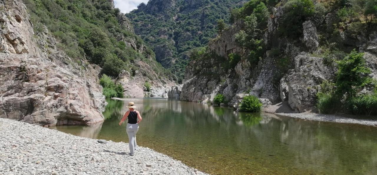 S'Orrosa Casa Vacanze Bifamiliare In Montagna Panorama Stupendo Sardegna Seùlo Buitenkant foto