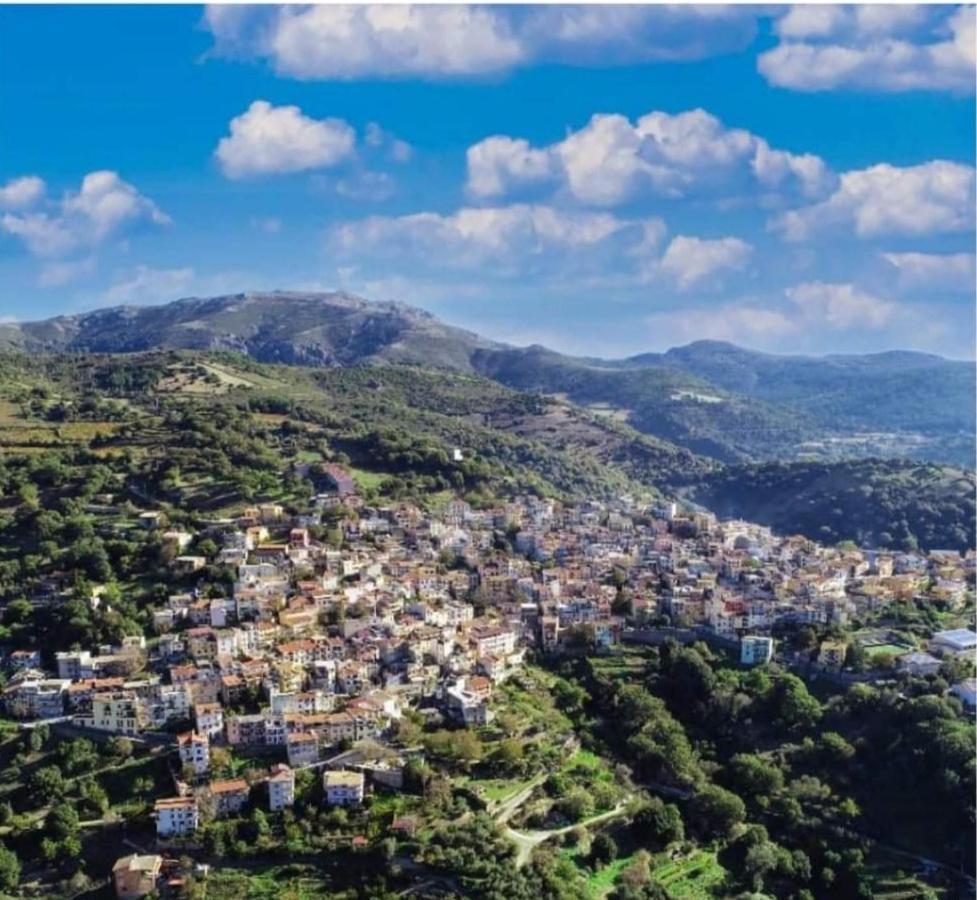 S'Orrosa Casa Vacanze Bifamiliare In Montagna Panorama Stupendo Sardegna Seùlo Buitenkant foto