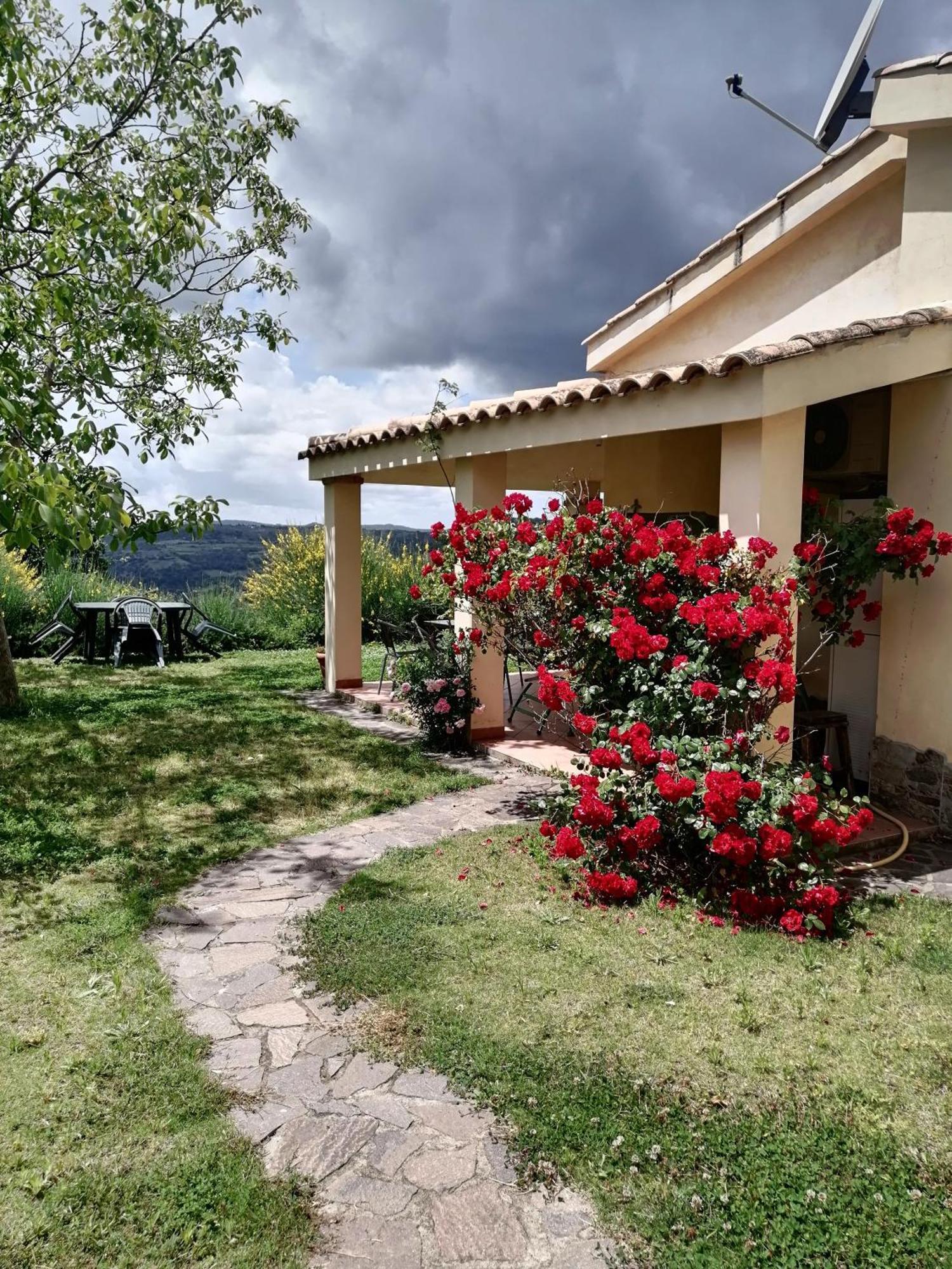 S'Orrosa Casa Vacanze Bifamiliare In Montagna Panorama Stupendo Sardegna Seùlo Buitenkant foto