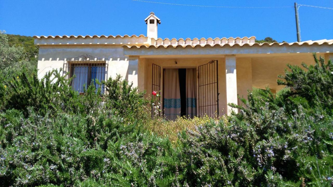 S'Orrosa Casa Vacanze Bifamiliare In Montagna Panorama Stupendo Sardegna Seùlo Buitenkant foto