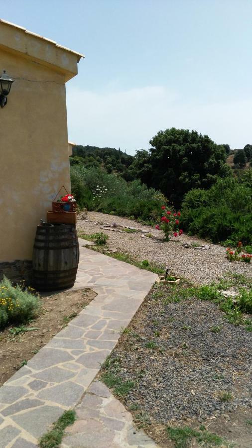 S'Orrosa Casa Vacanze Bifamiliare In Montagna Panorama Stupendo Sardegna Seùlo Buitenkant foto