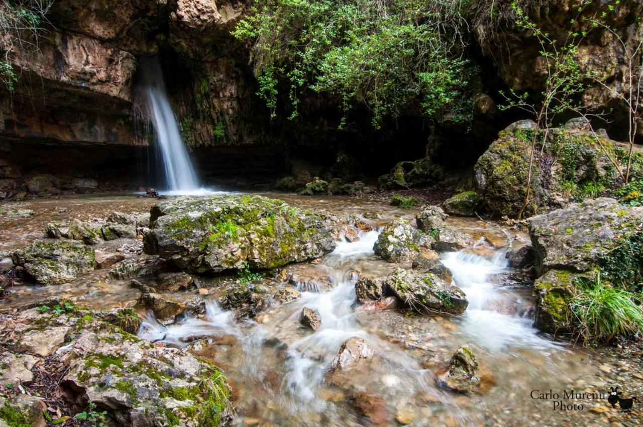 S'Orrosa Casa Vacanze Bifamiliare In Montagna Panorama Stupendo Sardegna Seùlo Buitenkant foto