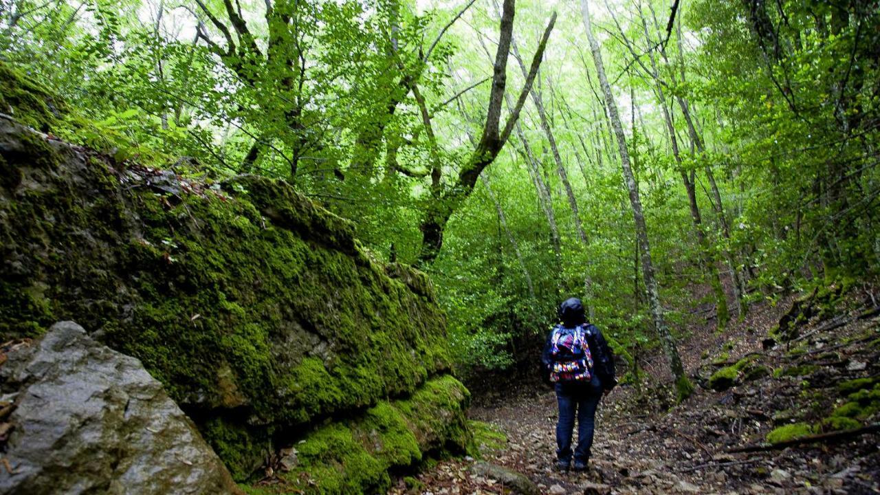 S'Orrosa Casa Vacanze Bifamiliare In Montagna Panorama Stupendo Sardegna Seùlo Buitenkant foto