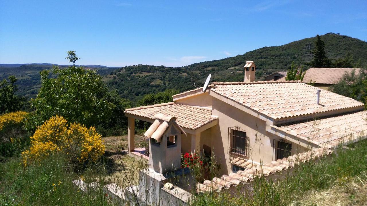 S'Orrosa Casa Vacanze Bifamiliare In Montagna Panorama Stupendo Sardegna Seùlo Buitenkant foto