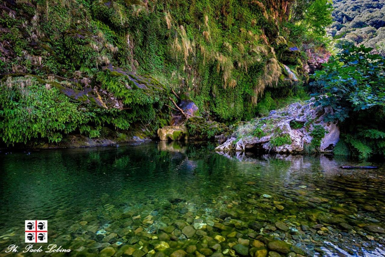 S'Orrosa Casa Vacanze Bifamiliare In Montagna Panorama Stupendo Sardegna Seùlo Buitenkant foto